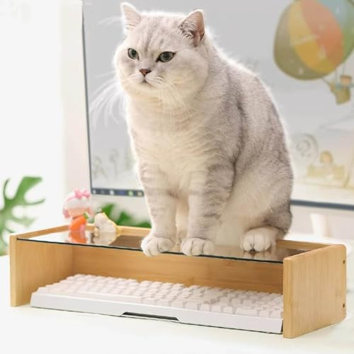 Protection de clavier en verre transparent - Protection de clavier anti-chat pour empêcher les chats de toucher le clavier - Support en bambou (L 48,5 x 16,5 x 11 cm)