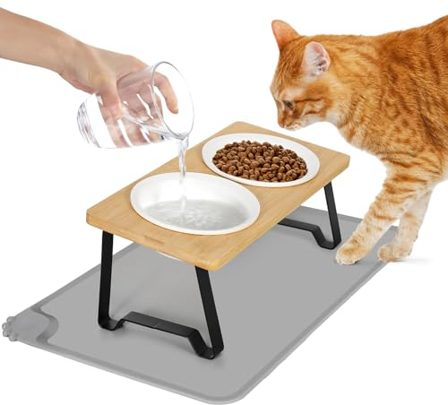 Lannvan Katzennapf Erhöht, 2er Set Futternapf Katze aus Keramik mit Napfunterlage Silikon, Ergonomischer Futterstation 15°gekippte Katzen Hundenapf,Fressnapf und Wassernapf für Katzen und kleine Hunde