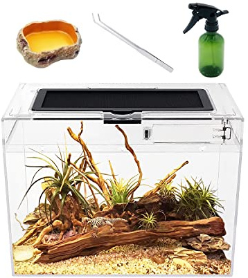 Reptile Growth Mini Reptile Terrarium,12 x 7x 9 Reptile Tank with Full View Visually Appealing，for Insect，Fish，Tarantula，Hermit crab，Jumping spider，Iguana，Tortoise，Leopard Gecko，Frog，Bearded dragon