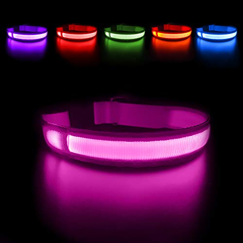 MASBRILL Hundehalsband Leuchtend Aufladbar, LED Leuchthalsband Hunde Wasserdicht für Kleine Mittlere Große Einstellbar Blinklicht Sicherheit Halsband mit 3 Beleuchtungsmodi, Rosa - S