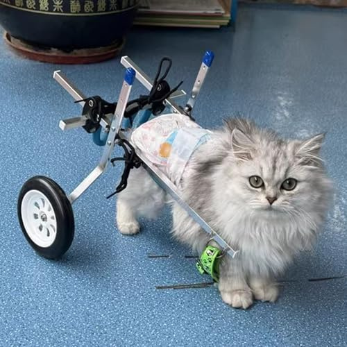 Carrello Cani Disabili Piccola Sedia a Rotelle per Gatti per Zampe Posteriori, Veicolo di Supporto per L'anca Paralizzata, Auto per Cani a 2 Ruote Regolabile con Zampe Posteriori Disabili Che Camminan