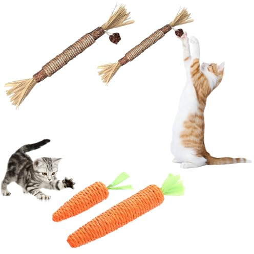 2 carote giocattolo per gatti e 2 Bastoncini Erba Gatta per Gatti (grandi + piccole), Bastoncini da Masticare, Giocattolo Catnip, Cura Dentale