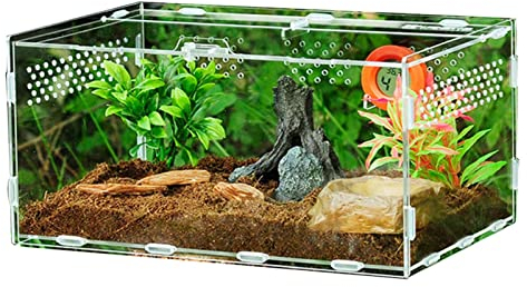 Reptil Fütterungsbox Acrylic Reptilienzuchtbox, Acryl Transparente Transport Box, Terrarium Glas Für Schnecken Spinnen Gecko Hamster Schlangen Schildkröten Terrarium Tragbarer Reptilien Insect Feeding
