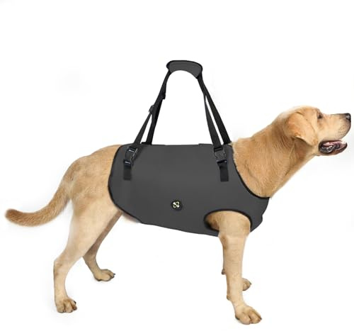 COODEO Dog Lift Harness, Imbracatura di Sollevamento per Cani, Sling di Supporto Regolabile per Cani Anziani, con Artrite o Perdita di Stabilità nella Camminata (Nero,XXL)