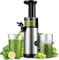 KIDISLE Compact Juicer Powerful Cold Press Juicer High Juice Yield Juicer Machines Easy to Clean Professional Slow Masticating Juicers for Fruits and Vegetables Reverse Function 600ml Cup Brush