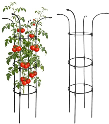 Tutor para Plantas de Jardín,Inoxidable Estable para Enredaderas,Estructura de Torre Exterior para Flores | para trepadoras, Rosas, clemátides, Pitahaya, pepinos, hortensias, jazmines y potos