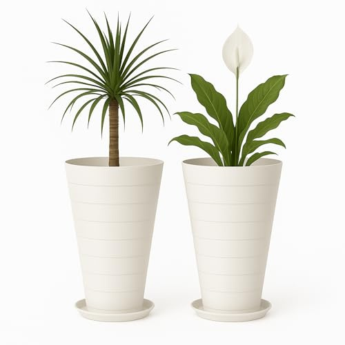 Mypicompany. Maceteros Decorativos Interior y Maceteros Grandes Exterior - 2X Macetas Grandes Blancas (50 cm)+2 Platos. Macetas Plastico con Drenaje - Tiestos para Plantas, Jardín, Terraza y Balcón