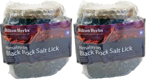 Black Himalayan Salt Lick 1kg (Pack of 2)