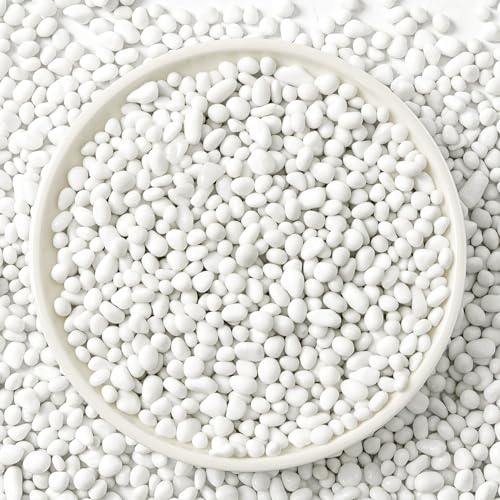 T4U White Stones for Plant Pots, Gravel Pebbles for Garden 450g (1 LB)