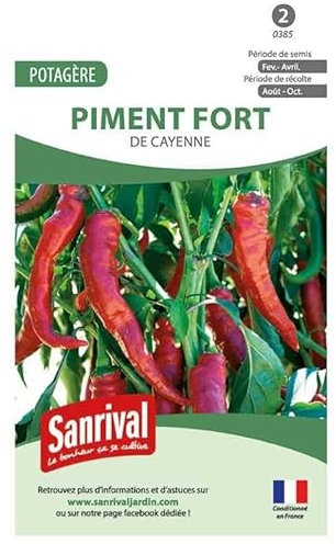 Graines Piment Fort de Cayenne