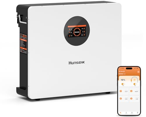 Humsienk Bluetooth Batteria LiFePO4 48V 100Ah da parete con BMS 100A e display LCD, 5120Wh batteria accumulo fotovoltaico oltre 15000 cicli e 10 anni di vita, per sistema solare, energia di riserva