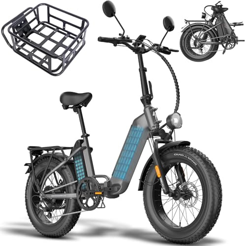 Fafrees Bici Elettrica Pieghevole Due Batterie 48V/12Ah×2 Bicicletta Elettrica, 20×4.0 Fat Tire, Autonomia di 160km, Fat Bike Ebike per Adulti Uomo Donna, con Schermo LCD, Specchietti,Cestino,Grigio