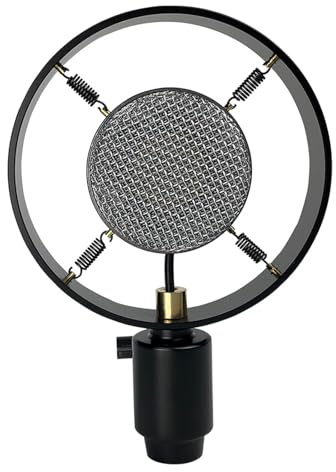 ZYKEJJDDAK Professionell mikrofon kondensatormikrofon vintage inspelare studio mikrofon för live-radio boardcasting sång