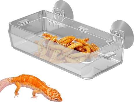 di Cibo Rettili, di Cibo Anti-Fuga: Antiacape di Alimento, Promuovere Comportamenti di Caccia Durevole Bacino di Alimentazione Trasparente per Gecko, Camaleonte, Lucertola,