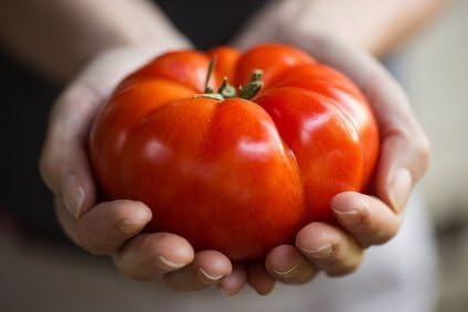 tomatfrön Red Juicy Giant / 50 frön/jätte tomat/grönsaksfrön/självförsörjning