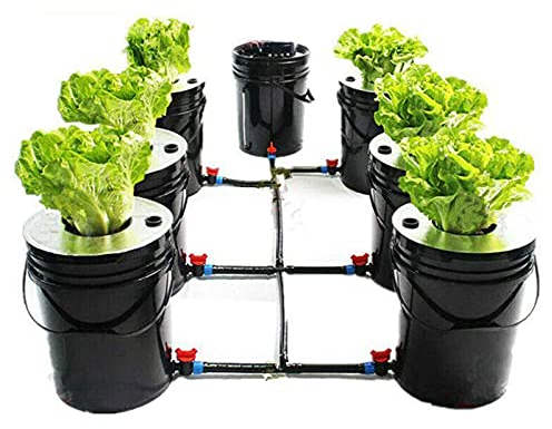 Lightakai Hydroponisches Anzuchtsystem, 20L Hydroponic System Kit Indoor Bodenlose Gemüseanbau Hydrokultur DWC Grow System Kit für Nutzpflanzen Gemüse Kräuter Salate Zierpflanzen