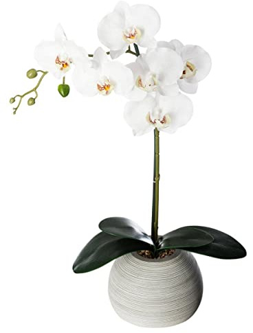 Atmosphera - Orchidée Artificielle - Pot en Ciment - H53 cm