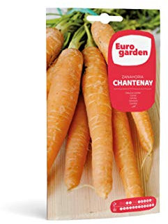 Eurogarden - Semillas Hortícolas. Zanahoria Chantenay
