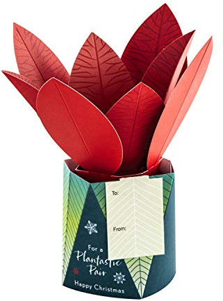 Hallmark julkort för båda – modern 3D pop-up växtdesign