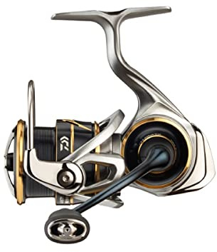 Daiwa 20 Airity LT 3000D-C