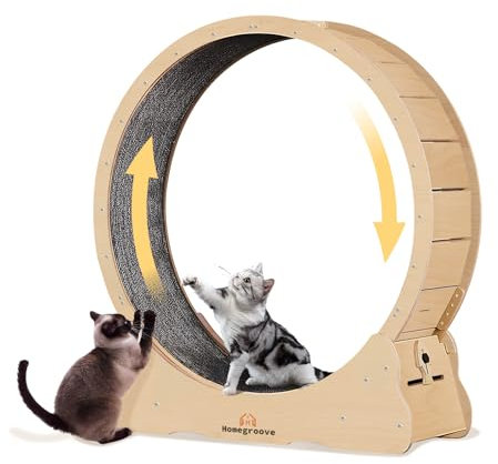 Homegroove Katzenlaufrad, 113 cm Laufrad für Wohnungskatzen, Katzenlaufrad-Laufband mit abnehmbarem Teppich zur Gewichtsabnahme und Gesundheitsförderung bei Katzen (Natural Wood Color, XL)