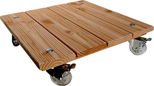 MW-TopShop Pflanzenroller Löwe (50er BigFoot 75mm Rolle) für den Außenbereich, Innenbereich