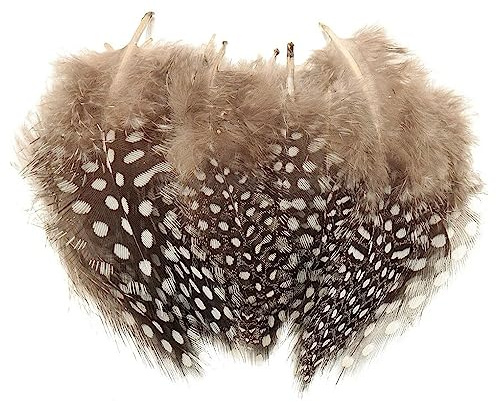 Morices Guinea Fowl Feathers, 100 Pack Natural Speckled Feathers for DIY Art Craft Collage Headdress Home Wedding Birthday Party Decoration