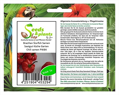 Stk - 5x Brazilian Starfish- Samen Saatgut Küche Garten Chili samen PW84 - Seeds & Plants Shop by Ipsa