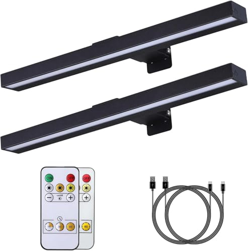 MIOBLUE Lámpara de imágenes inalámbrica con mando a distancia, lámpara de imágenes con mando a distancia, 16 pulgadas, recargable, lámpara de pintura con 3 modos de iluminación para pintar, metal