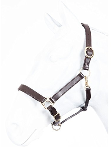 Lederhalfter ROBUST Marengos braun Warmblut