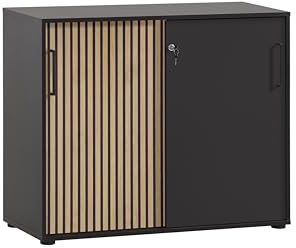 Schildmeyer Aktenschrank Hank 701972, Schwarzmatt/Akustikpaneel Optik, 100 x 41 x 83,6 cm
