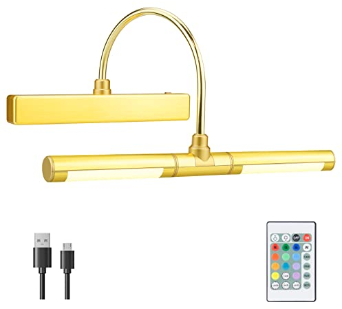 BIGMONAT Lampada da Parete Ricaricabile di Immagine, Luce di Riempimento Senza Fili Del Bagno, con Telecomando, Testa Rotante Della Lampada, con 12 Schermi di Regolazione del Colore,Oro