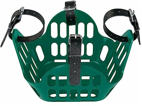 greenguard Weidemaulkorb/Fressbremse grün, Wb