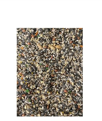 Savana Pets| MISCUGLIO PER PAPPAGALLI | per pappagalli grandi di tutti i tipi, miscuglio 5kg, 100% naturale senza conservanti, depolverato.