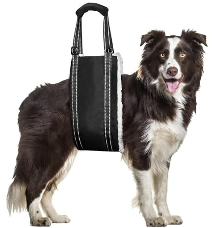FEimaX Pettorina di Sollevamento per Cani Regolabile Imbracatura di Supporto e Riabilitazione Imbracatura Cane Zampe Posteriori con Maniglia per Cani Anziani, Feriti o Disabili (M)
