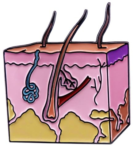 Dermatological Skin Enamel Lapel Pin per Zaino Anatomia e Spille Cellulari Smalto Morbido Pin Distintivi Metallo Accessori Gioielli, Metallo