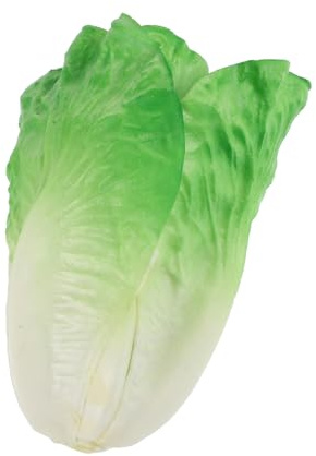 Vaguelly Laitue Artificielle Réaliste Verte Grosse Taille en Plastique Sécurisé sans Entretien Décor la Cuisine Restaurant Accessoire Photographie Décoratif Alimentaire