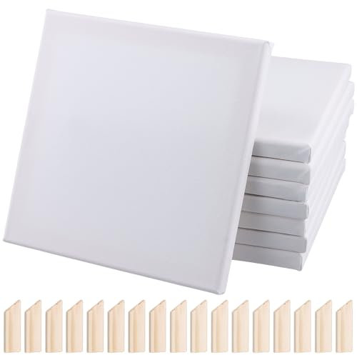 PINGEUI 8 PCS 20x20cm White Stretched Canvas, Cotton/Pine Wood, Acrylic/Oil Paint Compatible, 64 Inserts