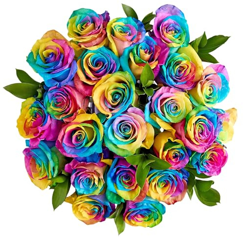 1800 Flowers – 24 Stem Kaleidoscope Roses (Bouquet Only) | Fresh Cut Spring Flowers for Delivery | Gift for Easter, Anniversary, Sympathy, and Special Occasions