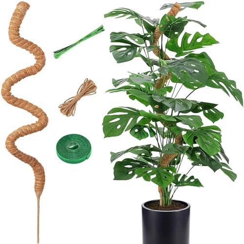 CTCEHL Tuteur Monstera,120 cm Support Plantes Interieur,Tuteur Plante Pliable,Grimpante Support pour Plante,pour Soutenir Les Plantes grimpantes Lors de Leur Croissance vers Le Haut
