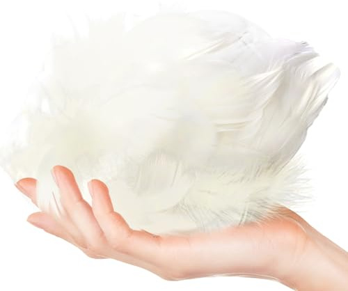 Hopzab 100 Pcs Feather for Crafts Natural Goose Feathers 2-5inch Feathers Bulk for DIY Crafts DIY Dream Catchers Gift Box Filling Wedding Party Holiday Decoration(White)
