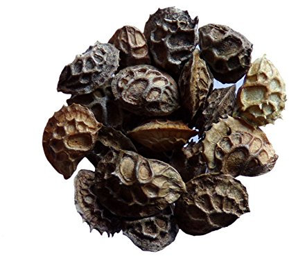 Sainfoin Simple - 40 grammes - Onobrychis Viciifolia - Onobrychis - (Engrais vert) - SEM05