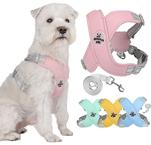 Zunea No Pull Hundegeschirr und Leine Set für Kleine Mittelgroße Hunde Verstellbar Reflektierend Welpenweste Geschirr Weich Atmungsaktiv Mesh Gepolsterte Leichte Weste für Chihuahua Bulldogge Rosa S