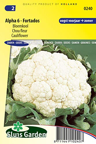 Cauliflower Alpha 6 Fortados Vegetable Seed - Firm Cabbage with Fairly Rough Rosettes - 0,4 g - Seeds per gram: +/-140