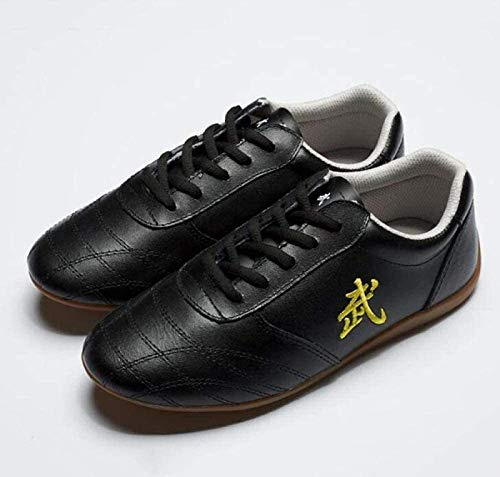 RDJSHOP Män kampsport sko kung fu Tai Chi-skor andningsbara halkfria sneaker för daglig träning morgonövningar, svart-EU 47