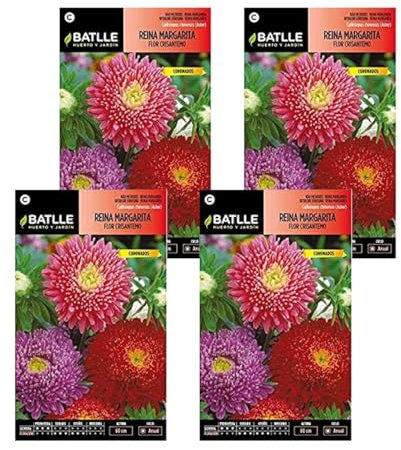 Semillas de margarita crisantemo de Semillas Batlle PACK (4)