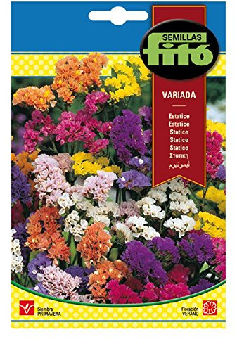 Semillas Fitó 630 - Semillas de Estatice Variada