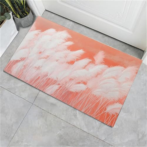 CECE&COLE Tappeti Morbidi E Soffici, Semplici Zerbini Per Porte In Canna, Tappeti Per Ingresso Lavabili Antiscivolo Per Interni, Tappetini Per Pavimenti In Moquette 60×90 Cm