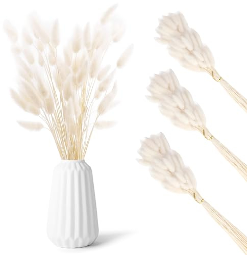 180 Stück Hasenschwanz Trockenblumen, Getrocknete Pampasgras, Ewige Kaninchenschwanzgras, Getrocknete Blumen, Schilfgras Blumenstrauß für Vase, Blumenarrangements, Hochzeit, Boho Zuhause Dekoration