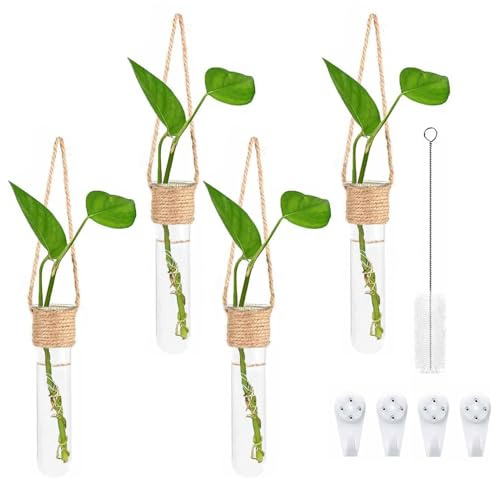 BYYLECL 4 macetas de vidrio hidropónicas, jarrón de pared pequeño, decoración de ventana, jarrones de tubo de ensayo para colgar en la pared, para flores, propagadores de interior para plantas